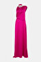 Fuchsia Fuchsia