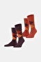 Orange-Brown