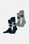 Navy Blue-Grey