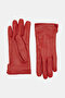Red Red