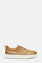 Light Beige Light Beige