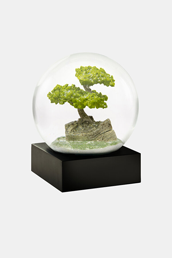 SNOW GLOBE BONSAI
