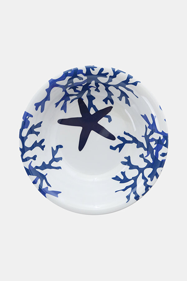 PLATE 2