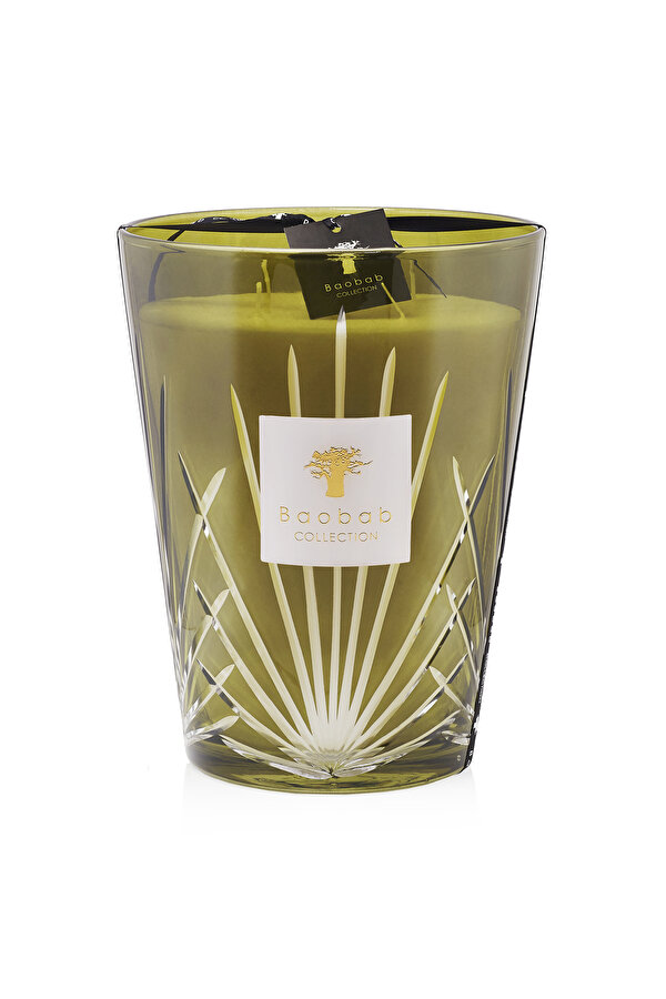 BAOBAB COLLECTION PALM SPRINGS