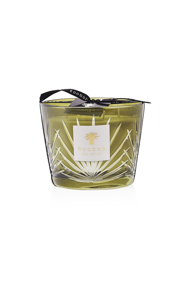 BAOBAB COLLECTION PALM SPRINGS 2