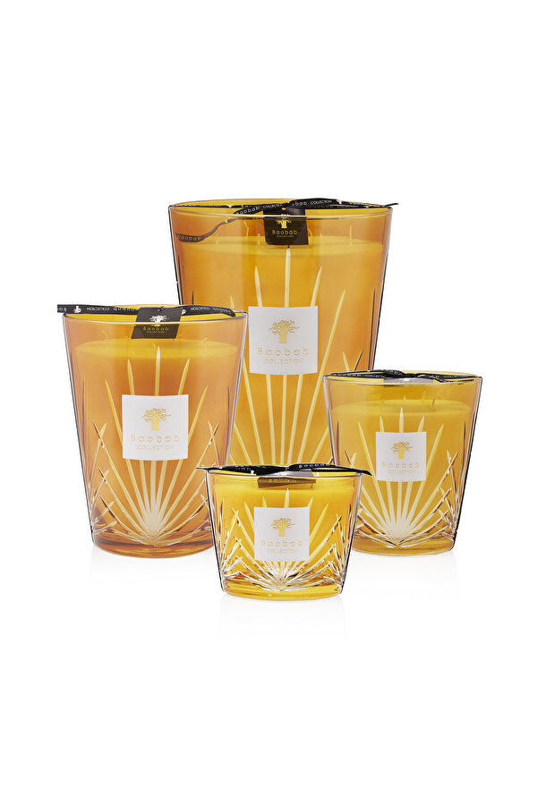 BAOBAB COLLECTION PALMA