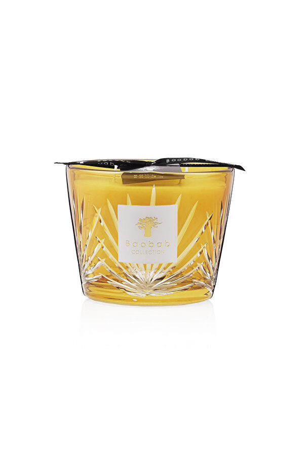 BAOBAB COLLECTION PALMA 2
