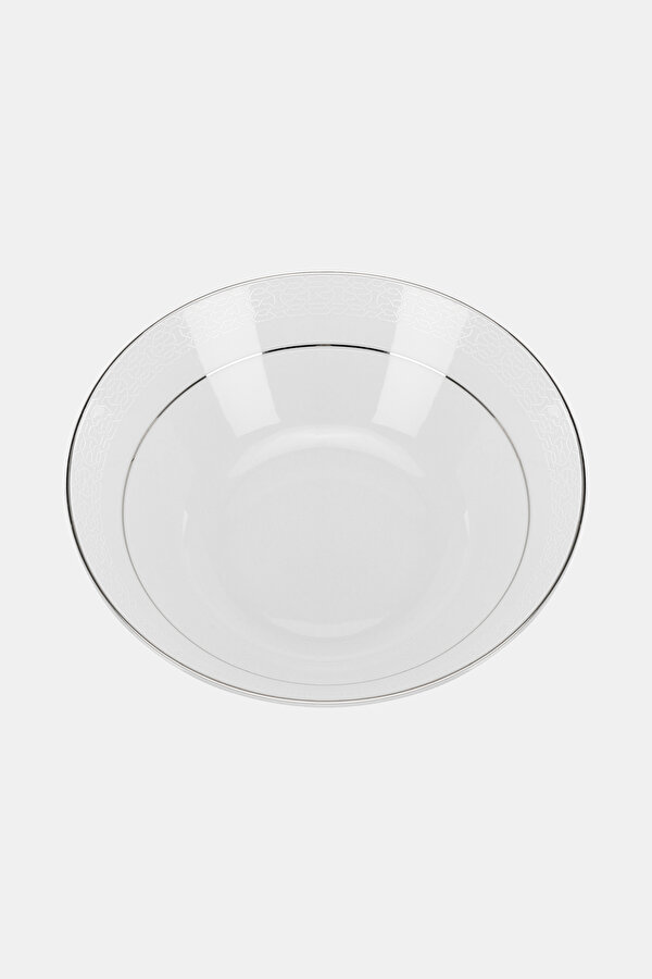 PLATE 2