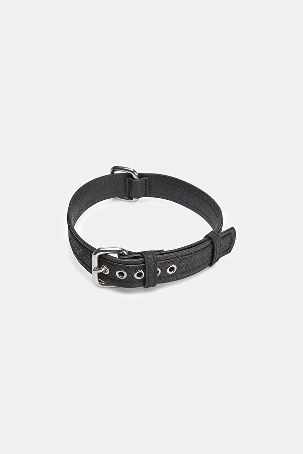 PET ACCESSORIES 2