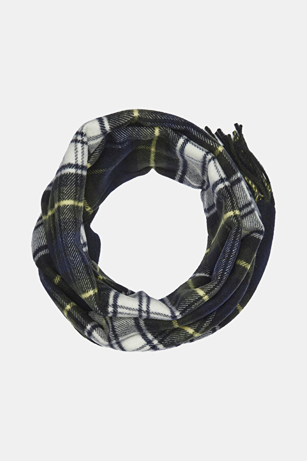 SCARF 2