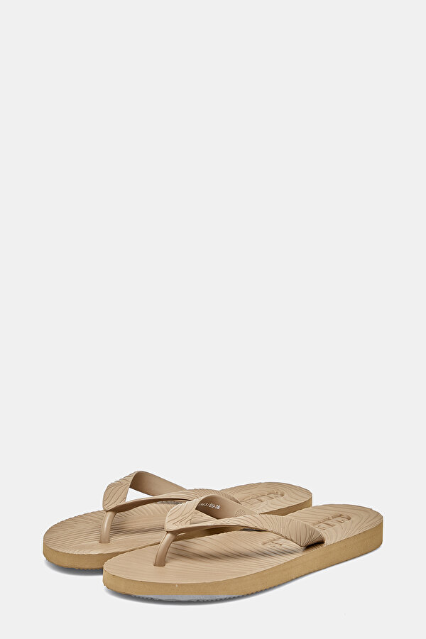 SLIPPER 2