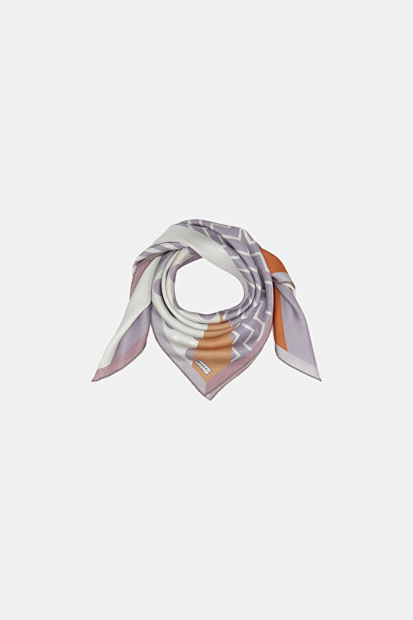 SCARF 2