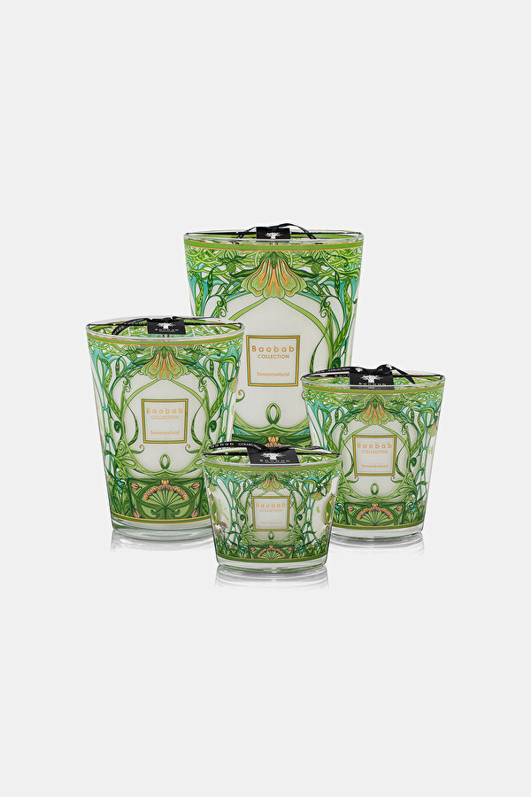 BAOBAB COLLECTION TOMORROWLAND