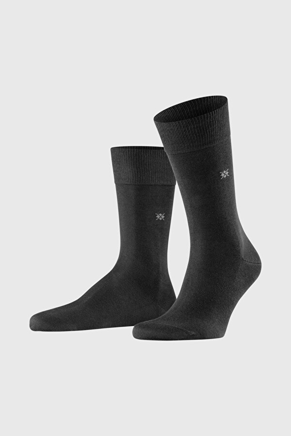 SOCK
