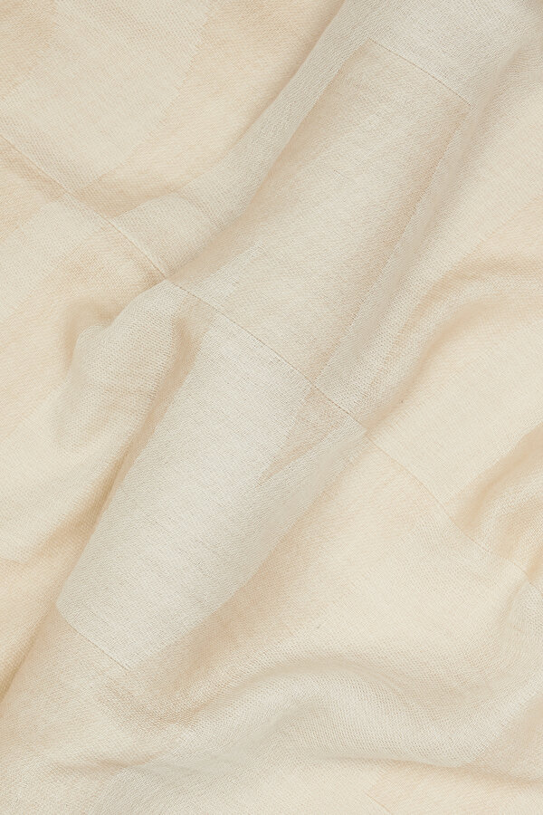 BEIGE DESIGN FILLED WOOL SHAWL 2