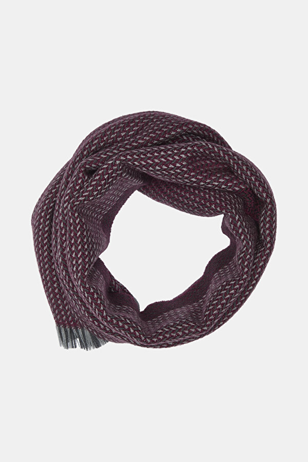 SCARF 2