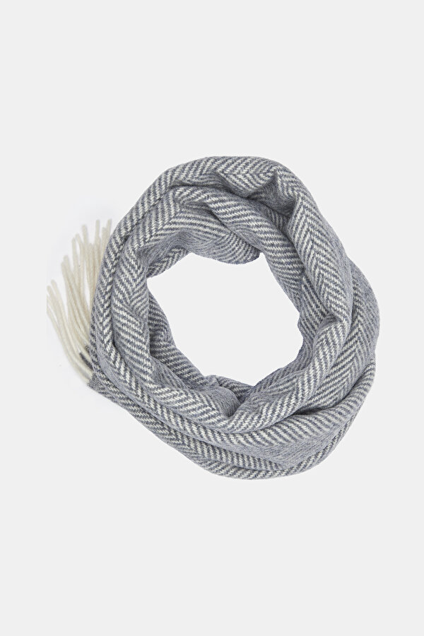 SCARF 2
