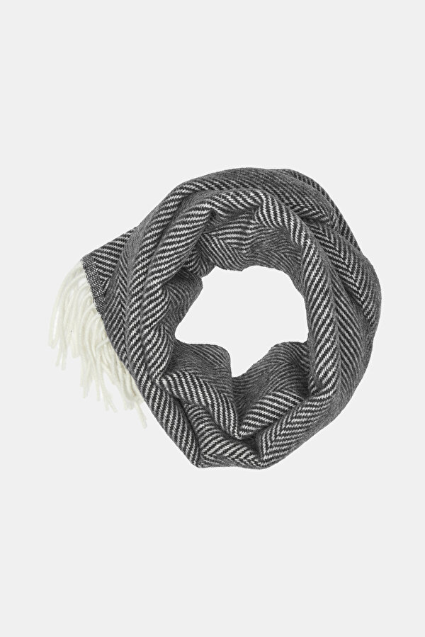 SCARF 2