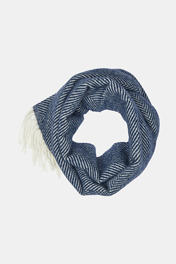 SCARF 2