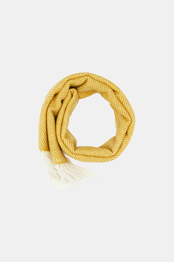SCARF 2