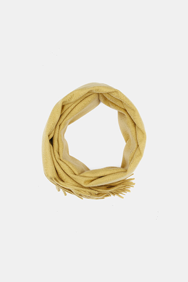 SCARF 2