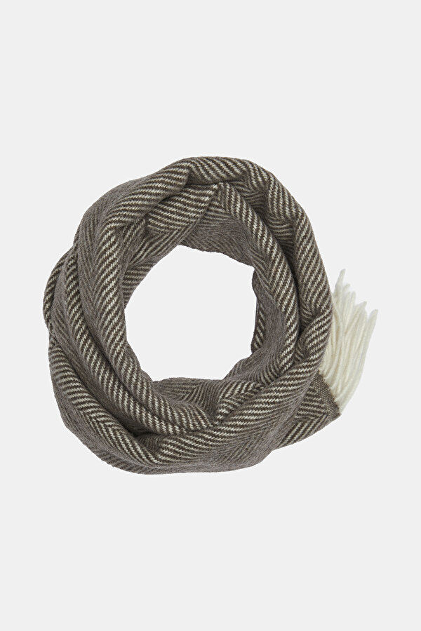 SCARF 2