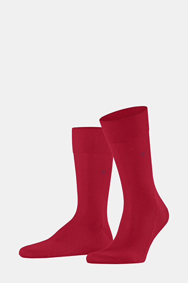 MAROON SOCK