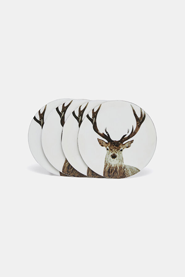 COASTER