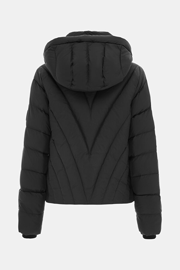 BLACK COAT 2
