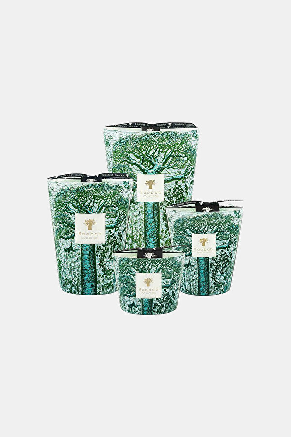 BAOBAB COLLECTION CANDLE