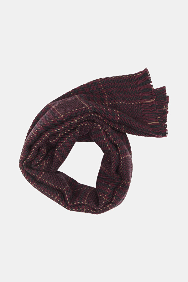 SCARF 2
