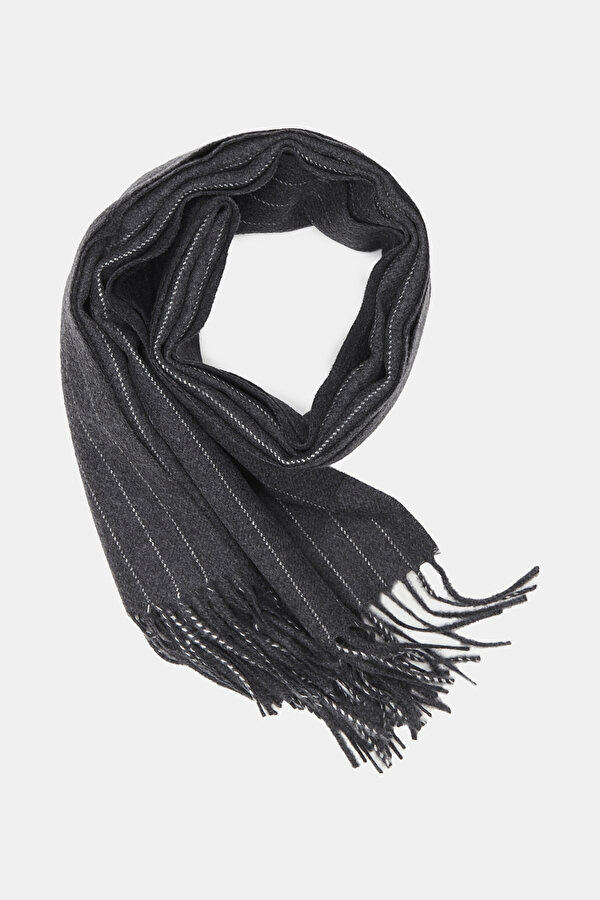 SCARF 2