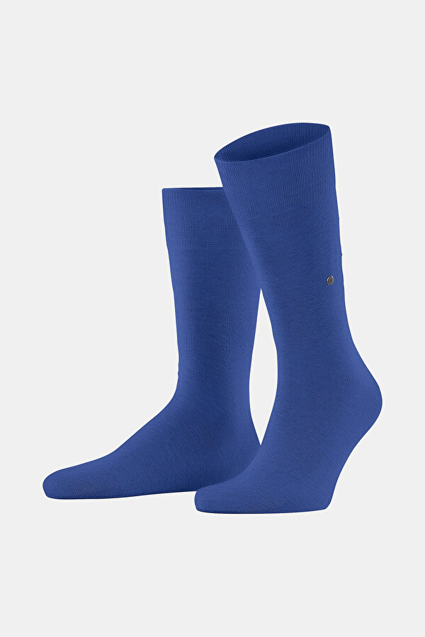 SAXE SOCK 2