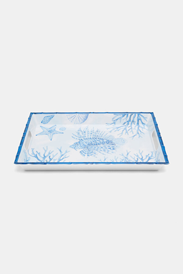 TRAY
