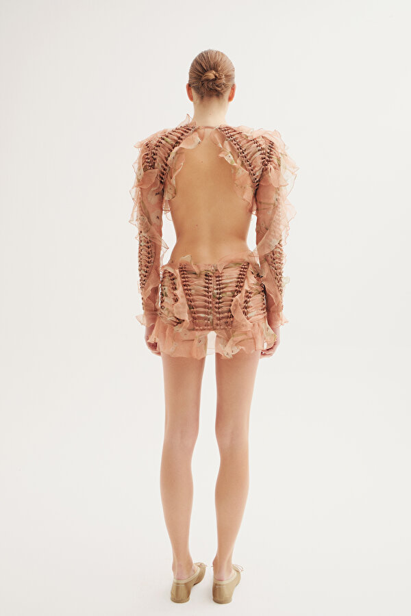 DRIED ROSE MINI DRESS 2
