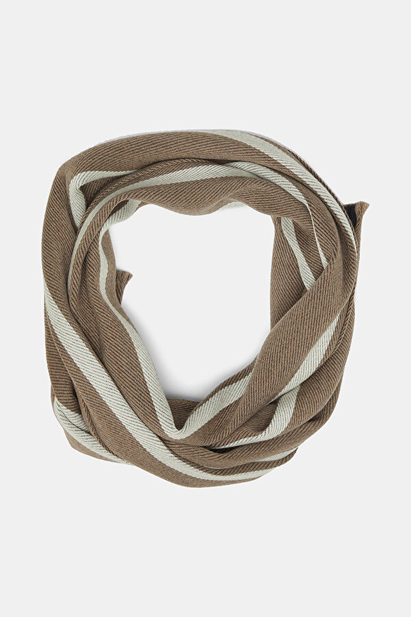 SCARF 2