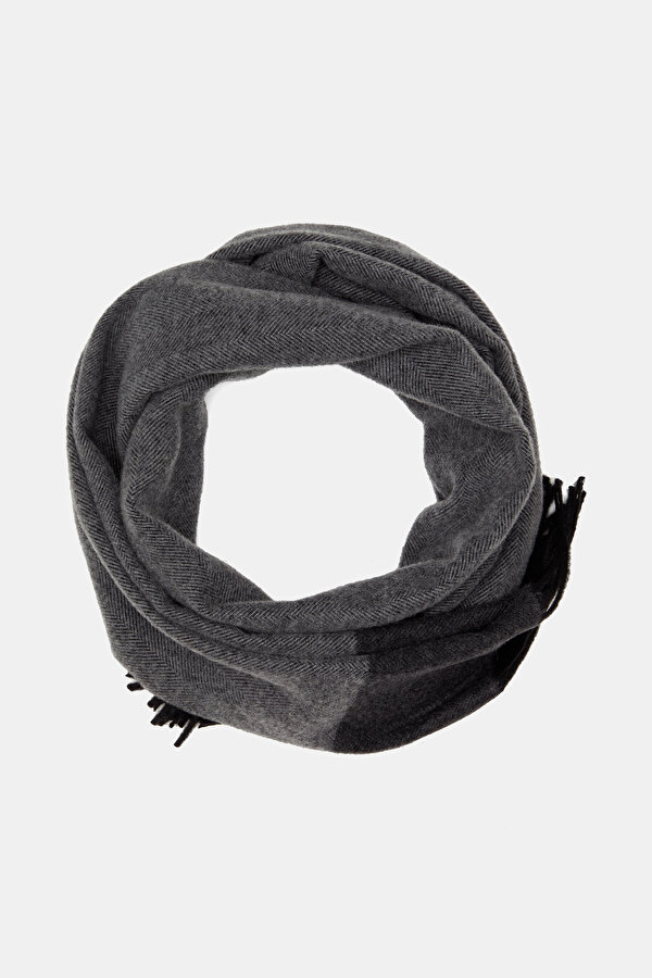 SCARF 2