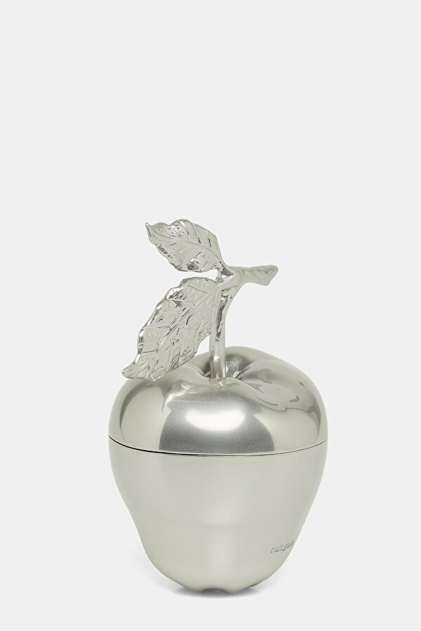 SILVER BAG 2