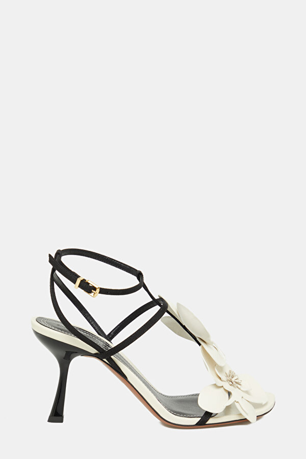 BLACK SHOE