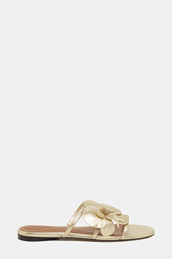 GOLD SLIPPER