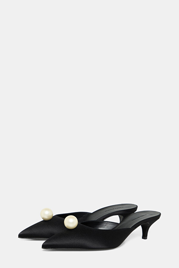 BLACK SHOE 2